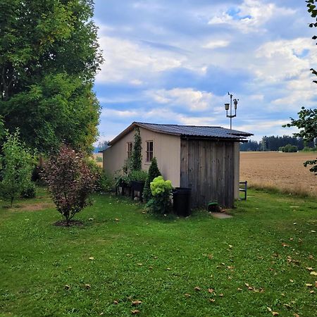 Ferienwohnung In Brand Finkenhoehe Екстериор снимка